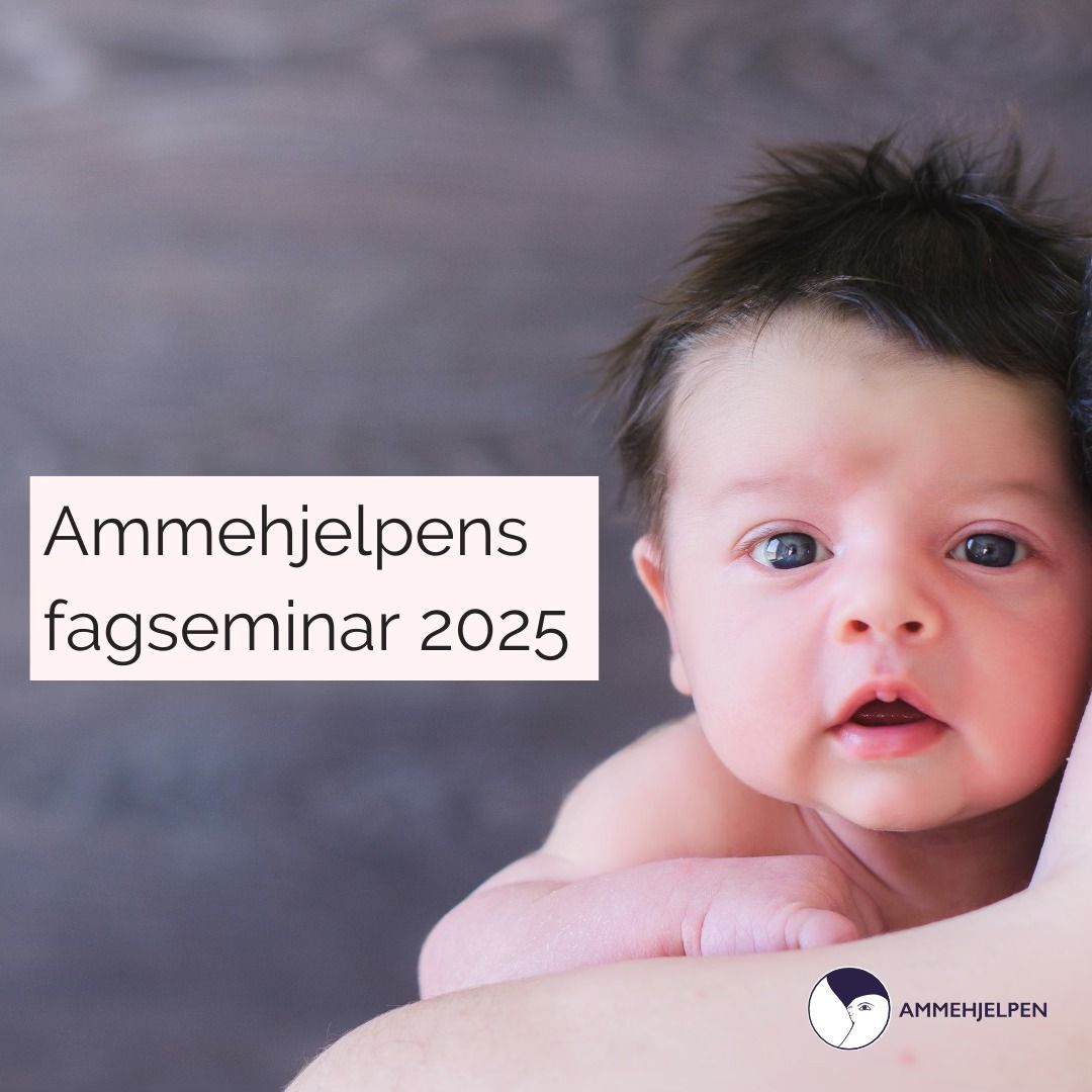 Ammehjelpens fagseminar 