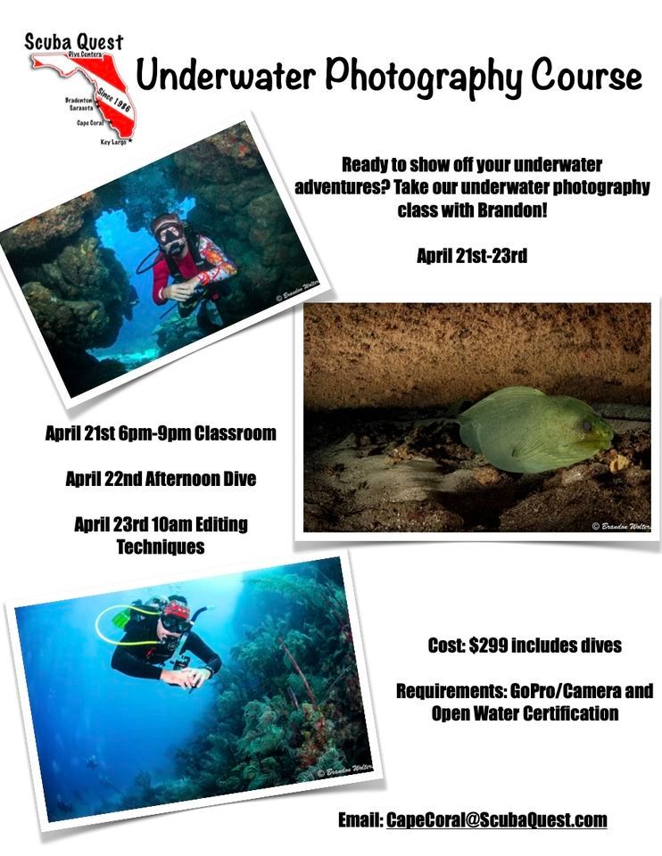 Underwater Photography Course w/ Brandon!, Scuba Quest Cape Coral, 21