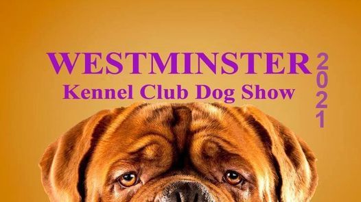 Westminster Kennel Club Dog Show Live, Pennsylvania ...
