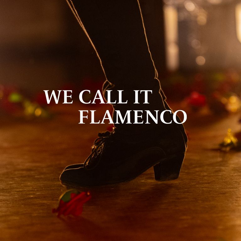 We Call It Flamenco: l'autentico spettacolo di danza spagnola