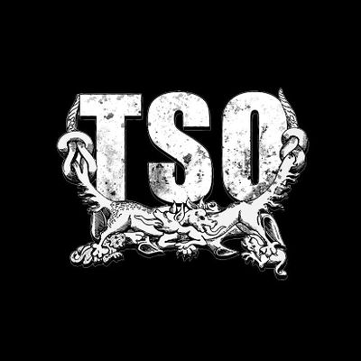 TSO | TEATRO SANITARIO DE OPERACIONES