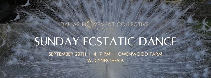 Ecstatic Dance | Sunday Afternoon w. Cynesthesia