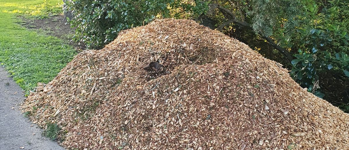 THBG Mulch Mountain Flash Mob