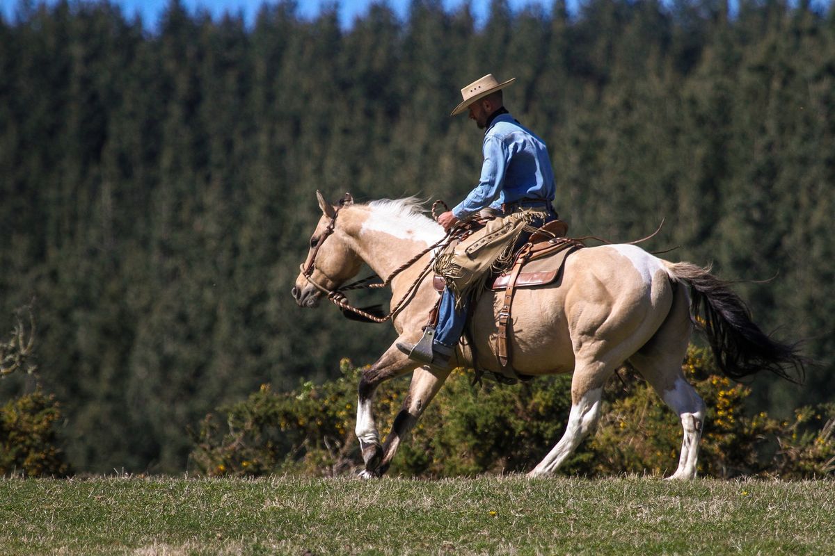 Northland, NZ: 3 Day On The Trail Horsemanship Clinic