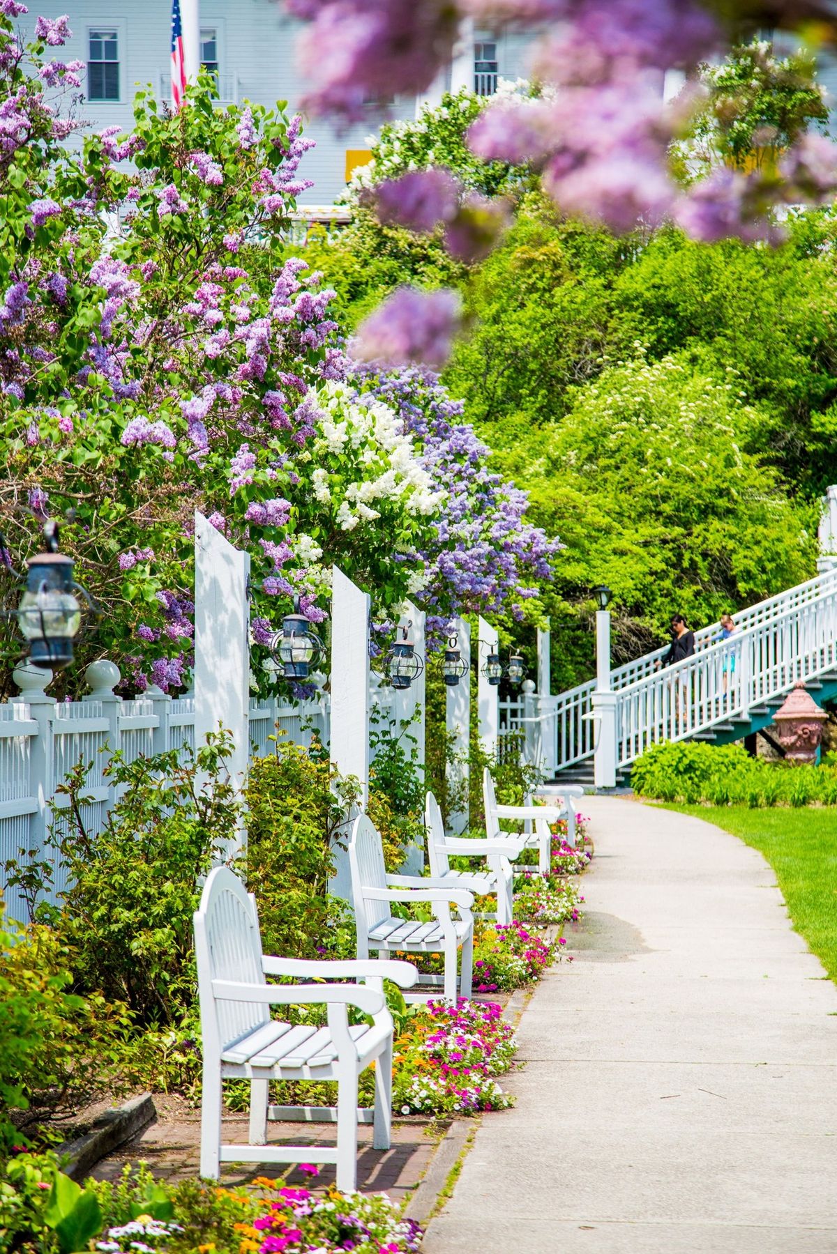 Lilac Festival Weekend