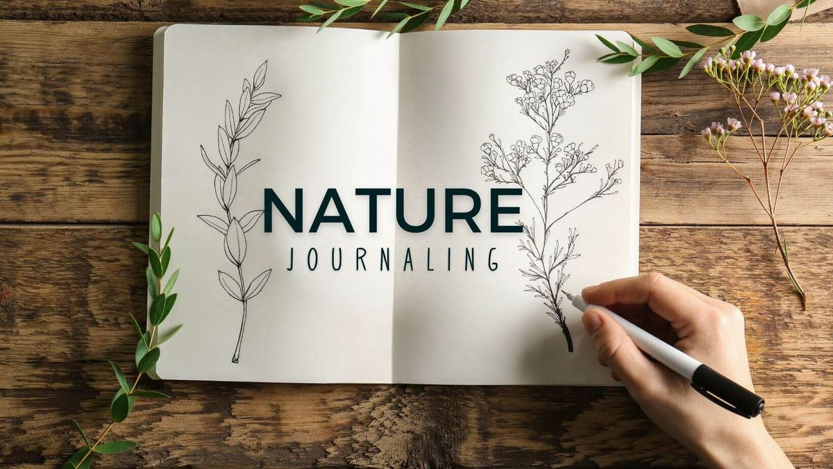 Nature Journaling 