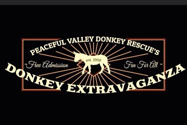 Donkey Extravaganza at Equine Affaire