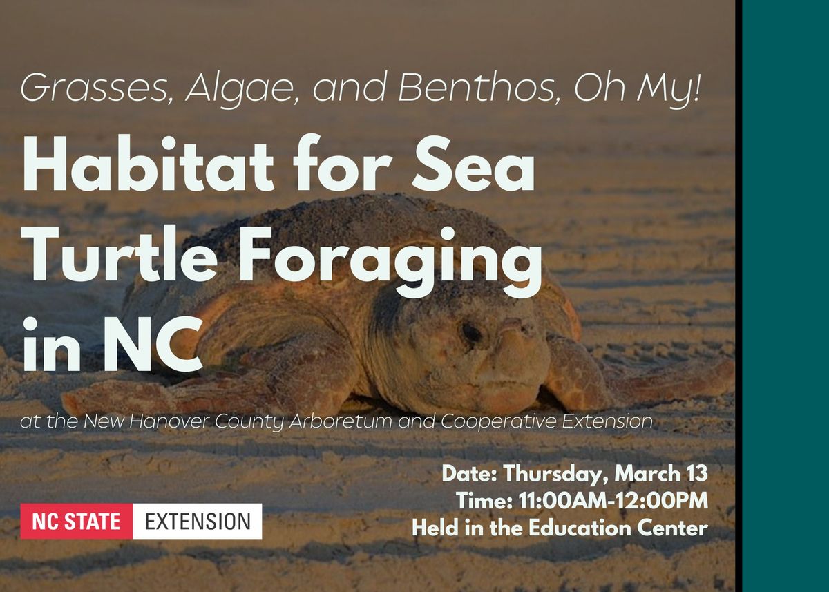 Grasses, Algae, and Benthos, Oh My! Habitat for Sea Turtle Foraging in NC