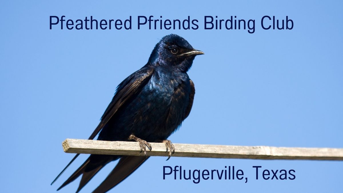Pfeathered Pfriends Birding Nature Walk