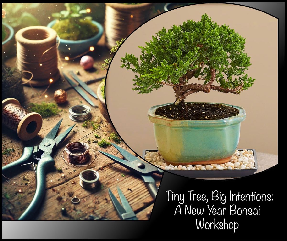 A New Year Bonsai Workshop