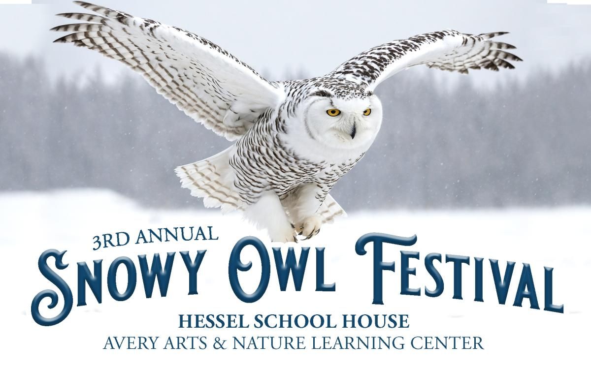 Cotton Fest (Time: TBD) - Friday