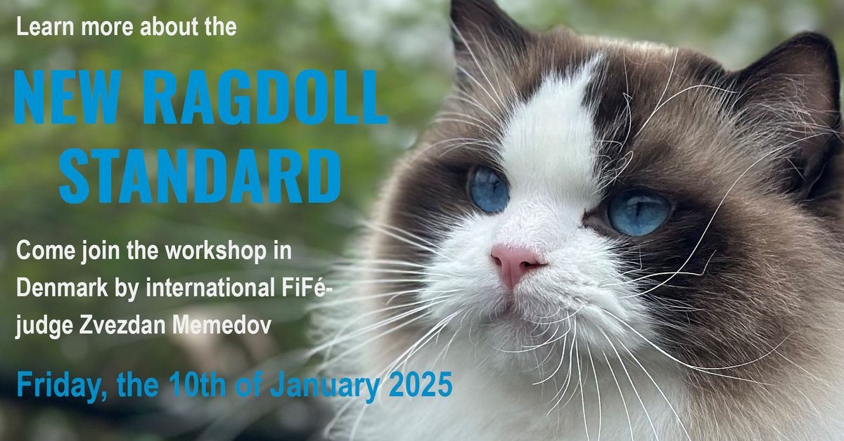 Workshop on the New Ragdoll Standard