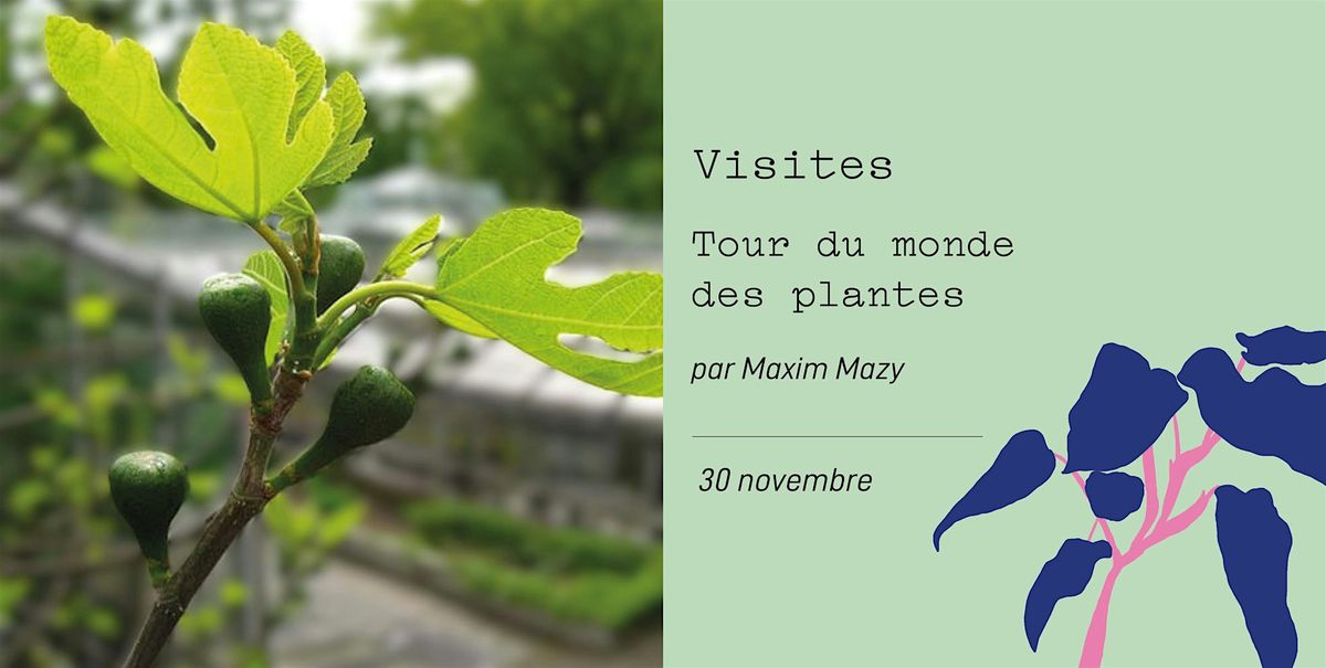 Tour du monde des plantes