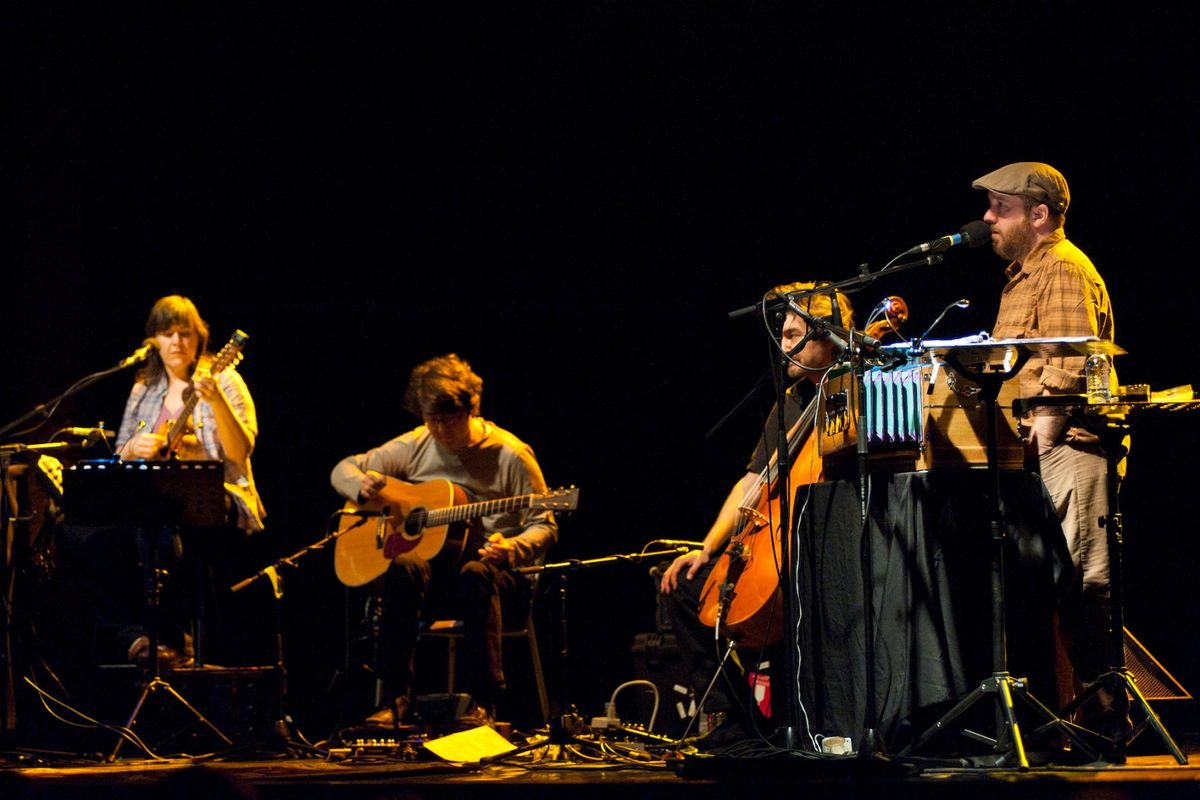 Magnetic Fields (Concert)