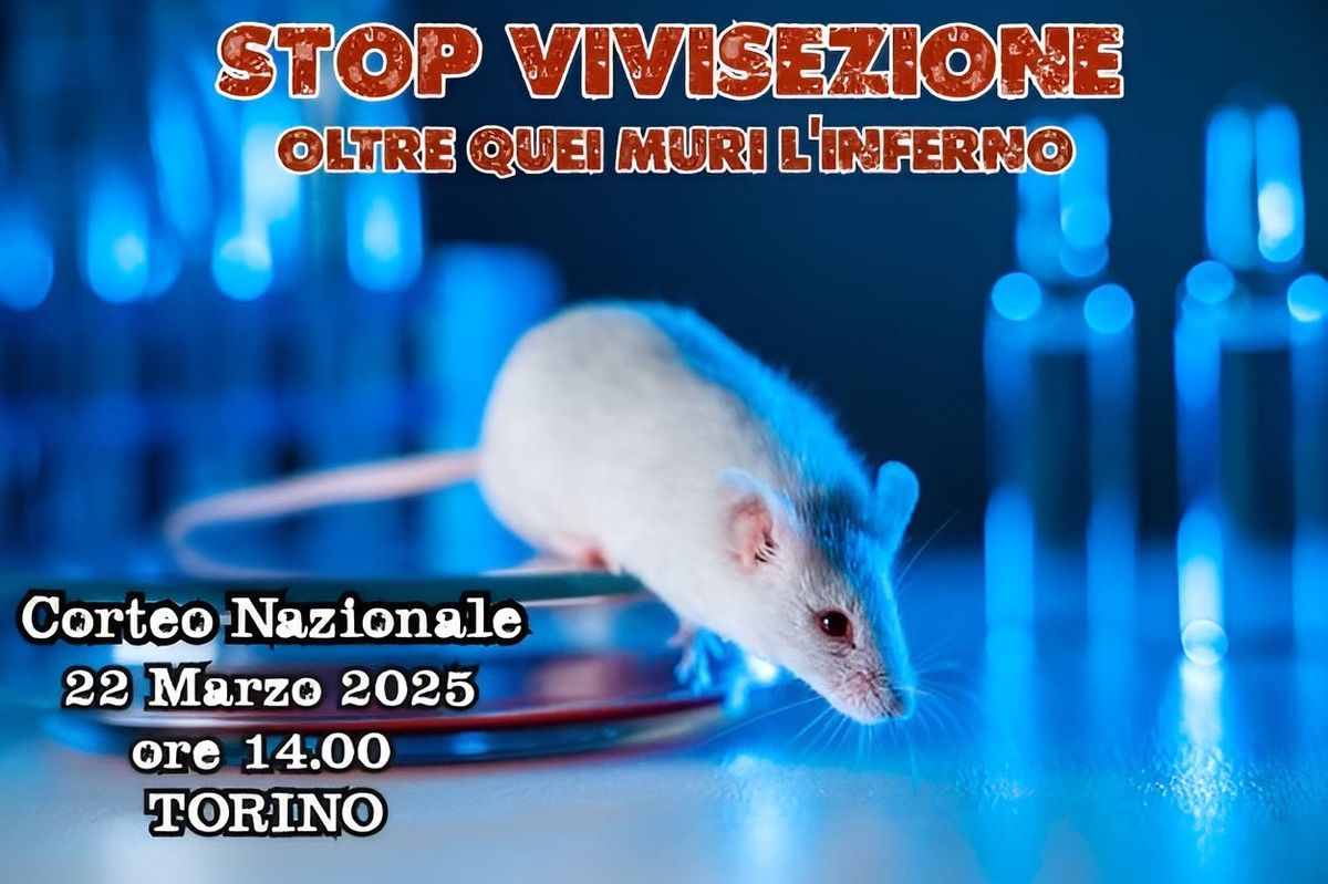 STOP vivisezione: oltre quei muri l'inferno 