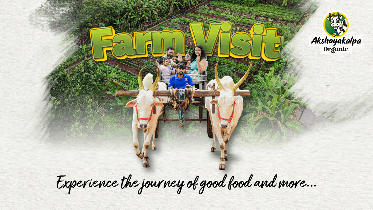 Akshayakalpa Organic Farm Visit - Telangana