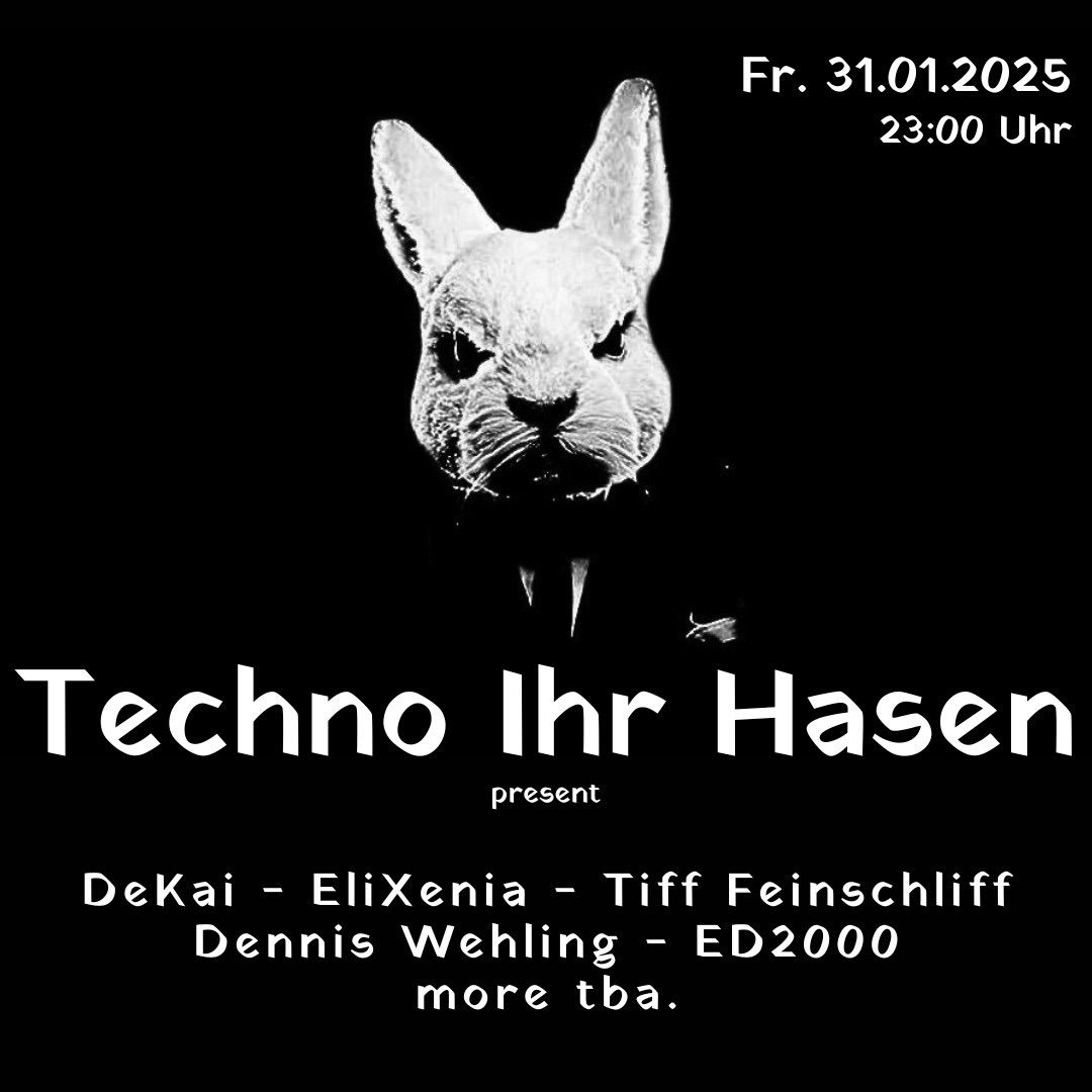 Techno Ihr Hasen