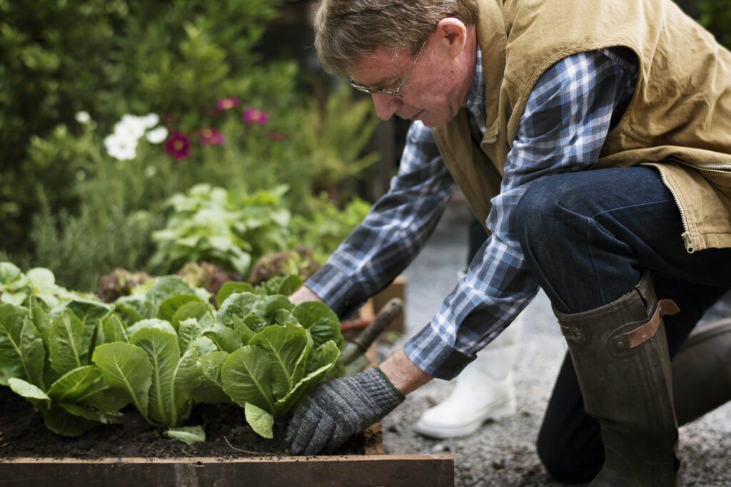 Garden Curator Days