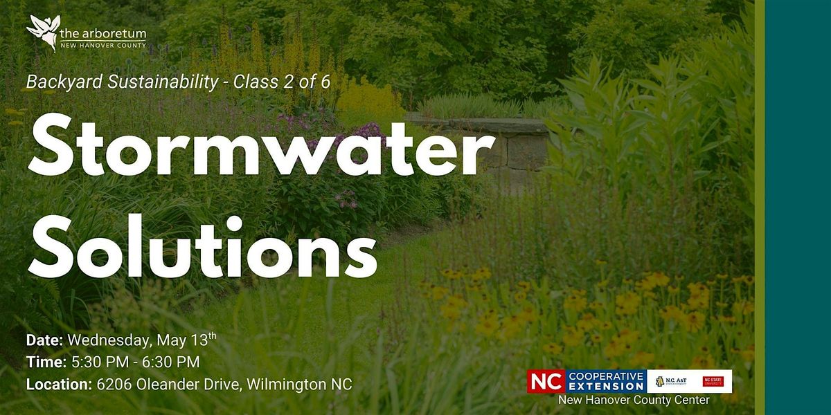 Backyard Sustainability Series: Stormwater Solutions