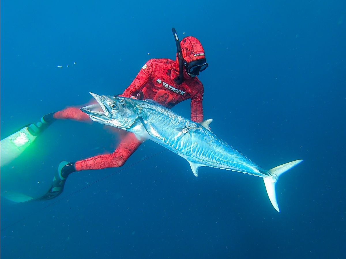 Abrolhos Island Charter