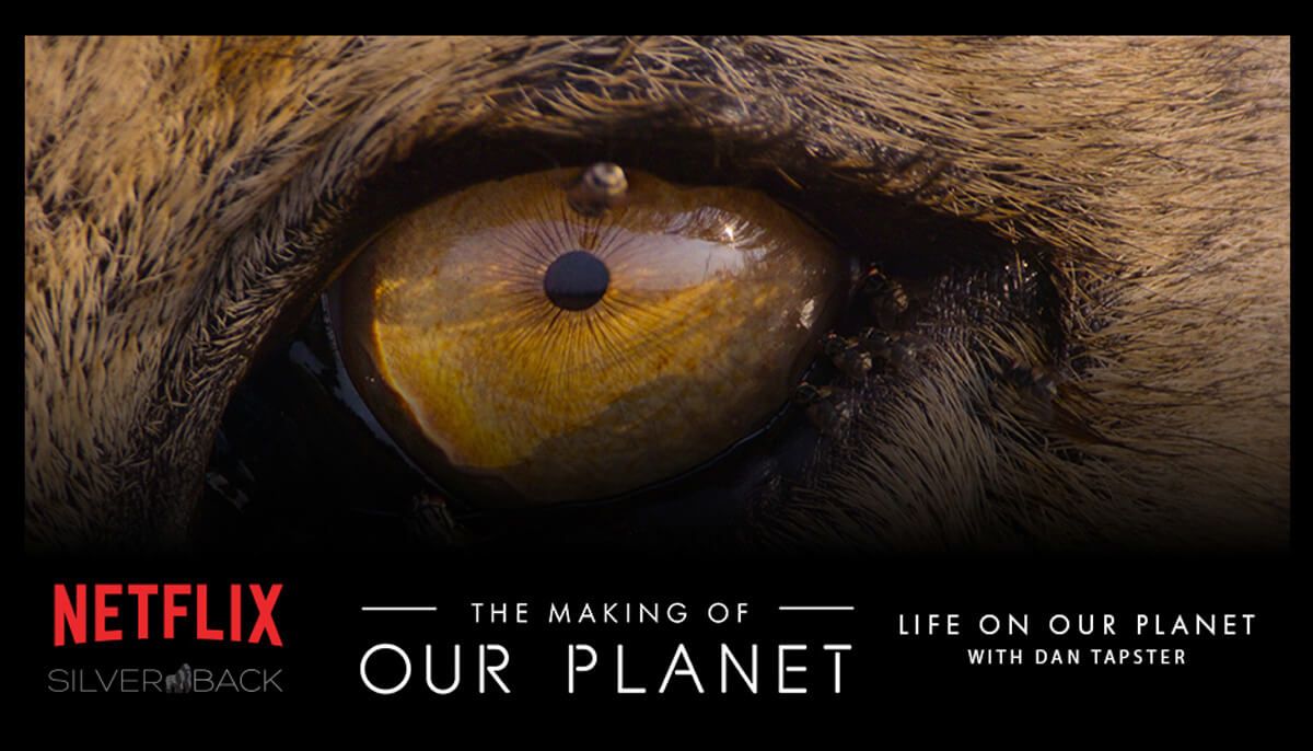 The Making of Life on Our Planet