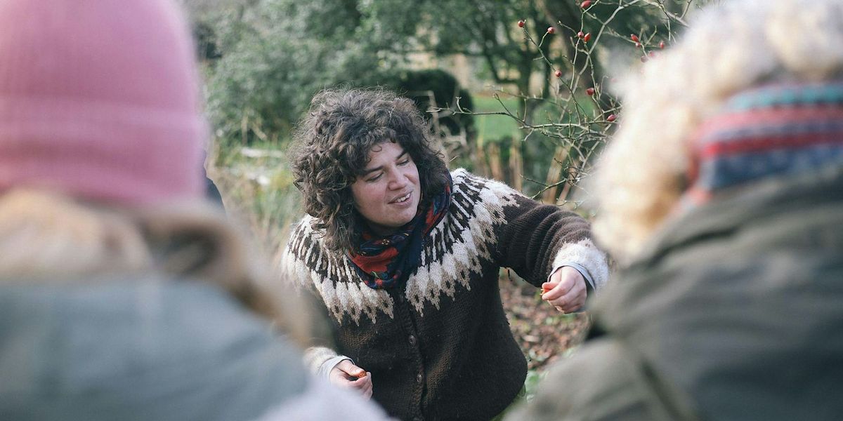 Wild Medicine Cabinet: Winter Medicine Making