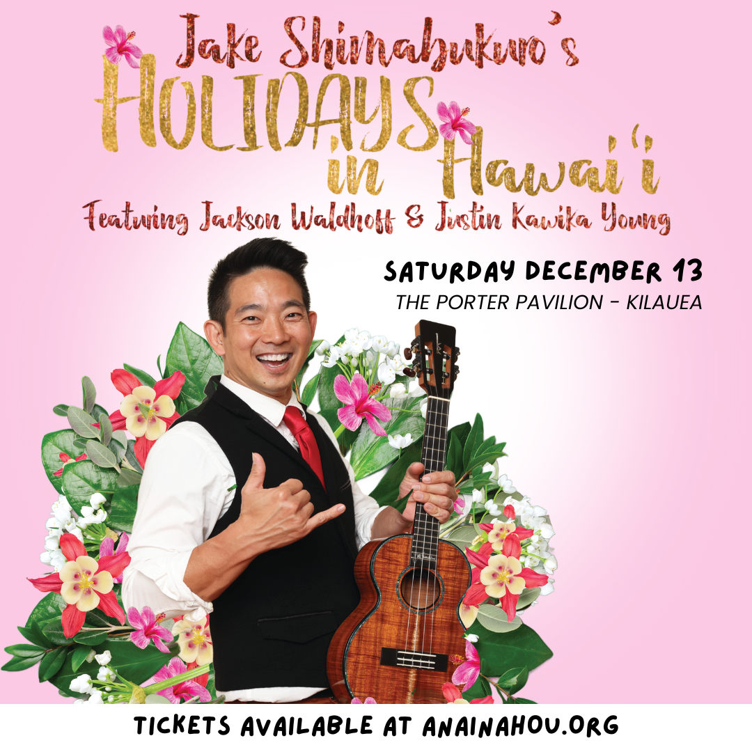 Holiday for Fiddlers at Washington Pavilion of Arts & Science