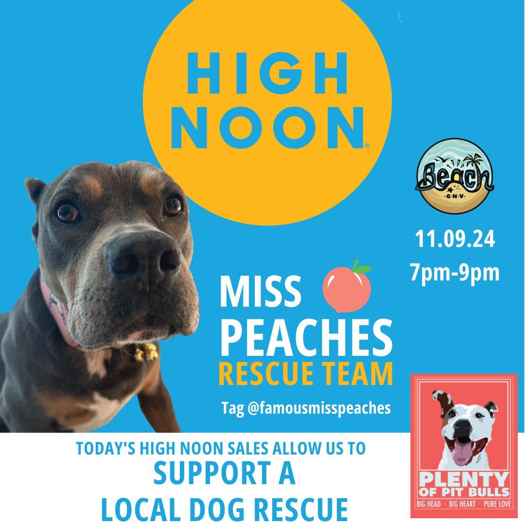 Beach GNV Adoption Event - Miss Peaches Rescue Team