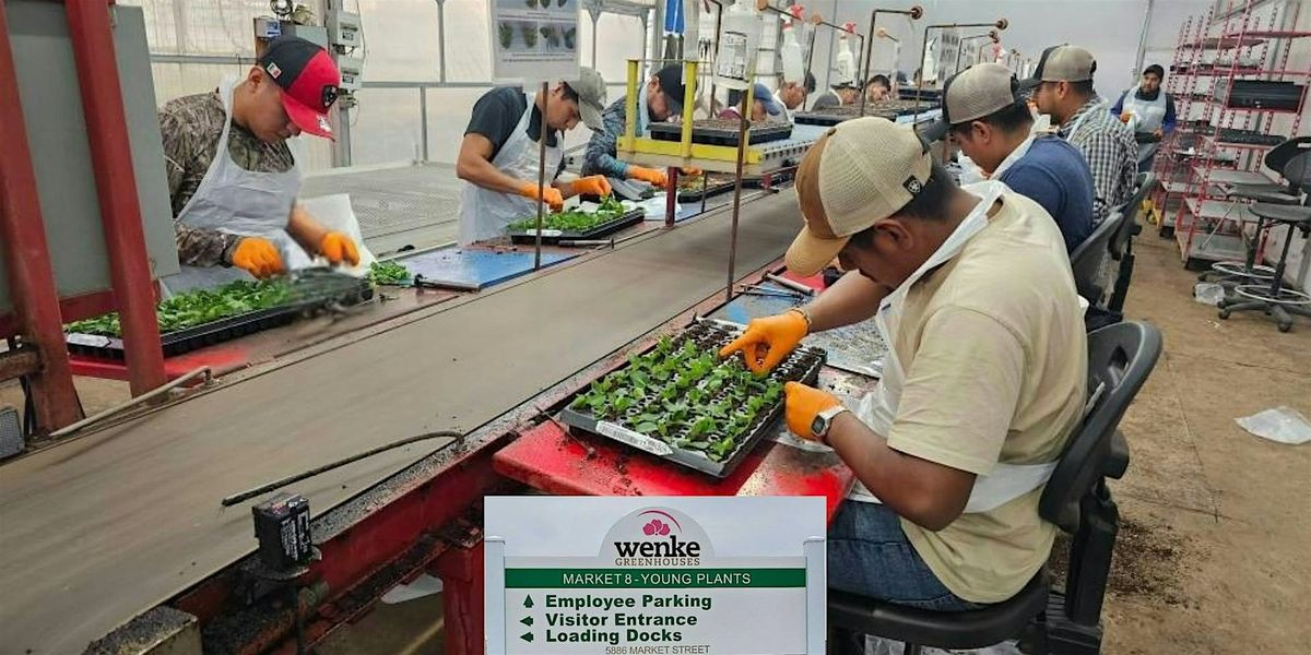 Wenke Greenhouses Young Plant Production Tour @ 10am