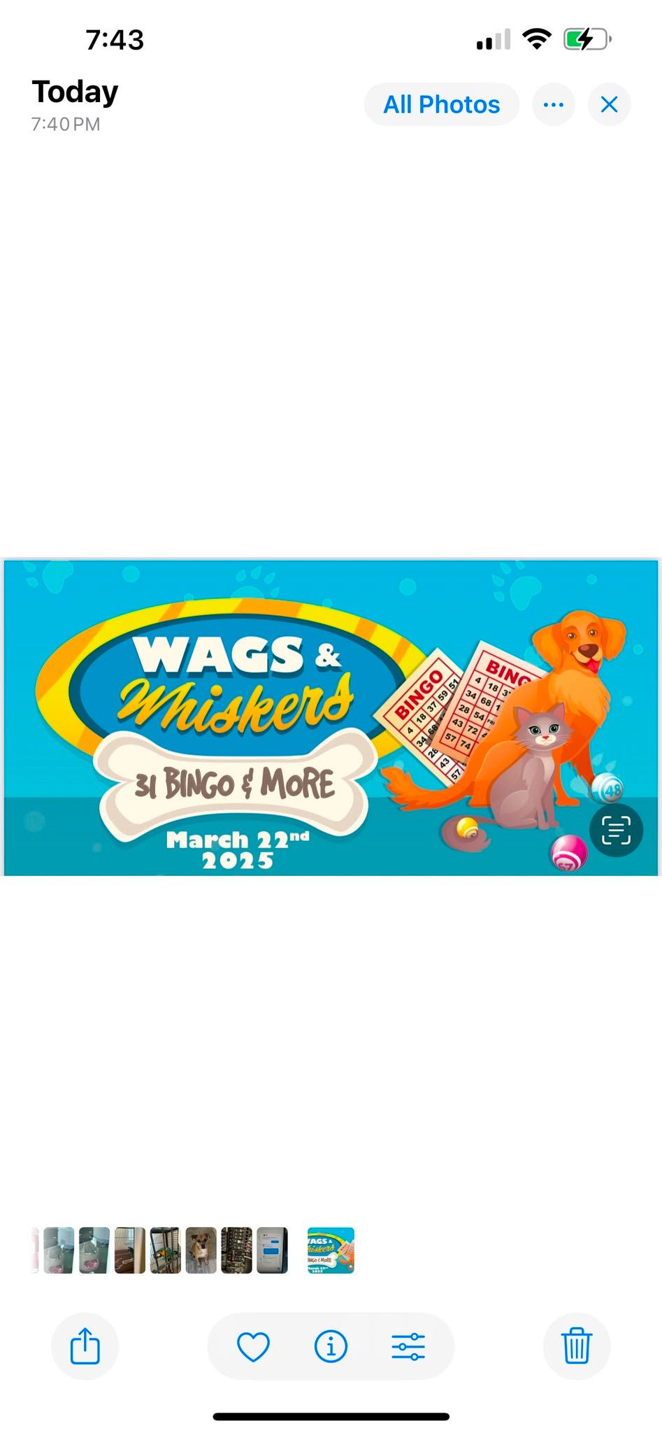 8th Annual Wags & Whiskers Bingo