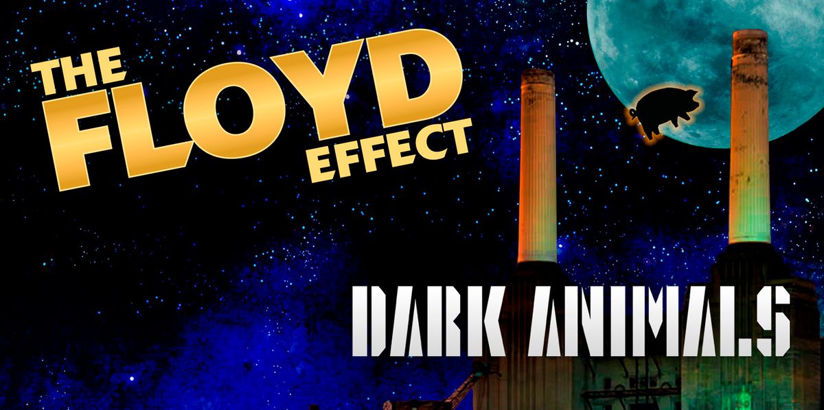 The Floyd Effect - Dark Animals Tour