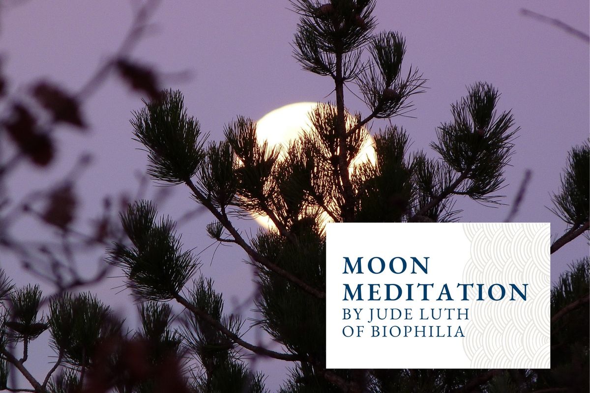 Moon Meditation Workshop
