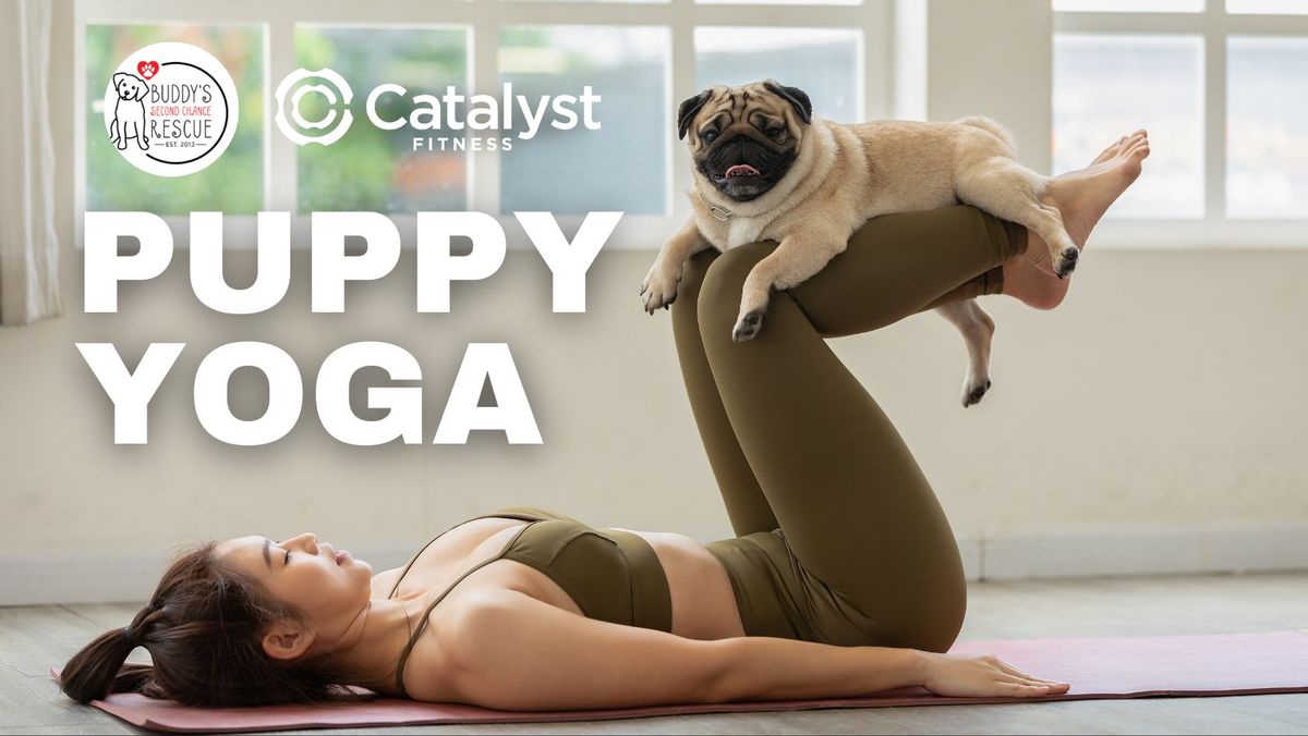 Puppy Yoga at Catalyst Fitness!