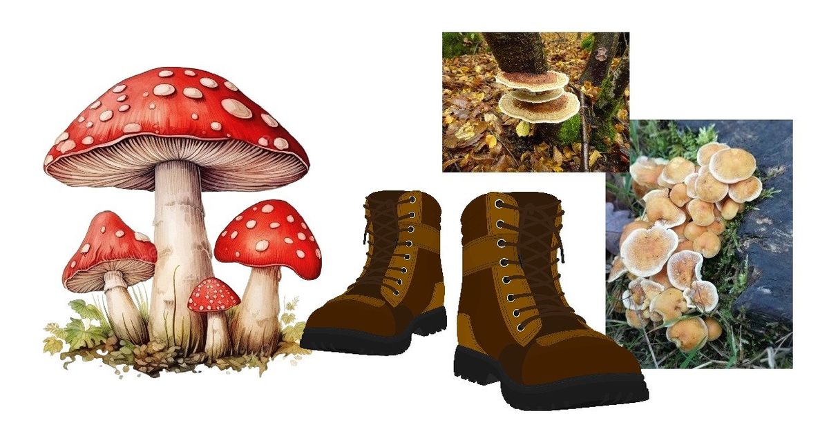 Fabulous Fungi Walk - Fully Booked