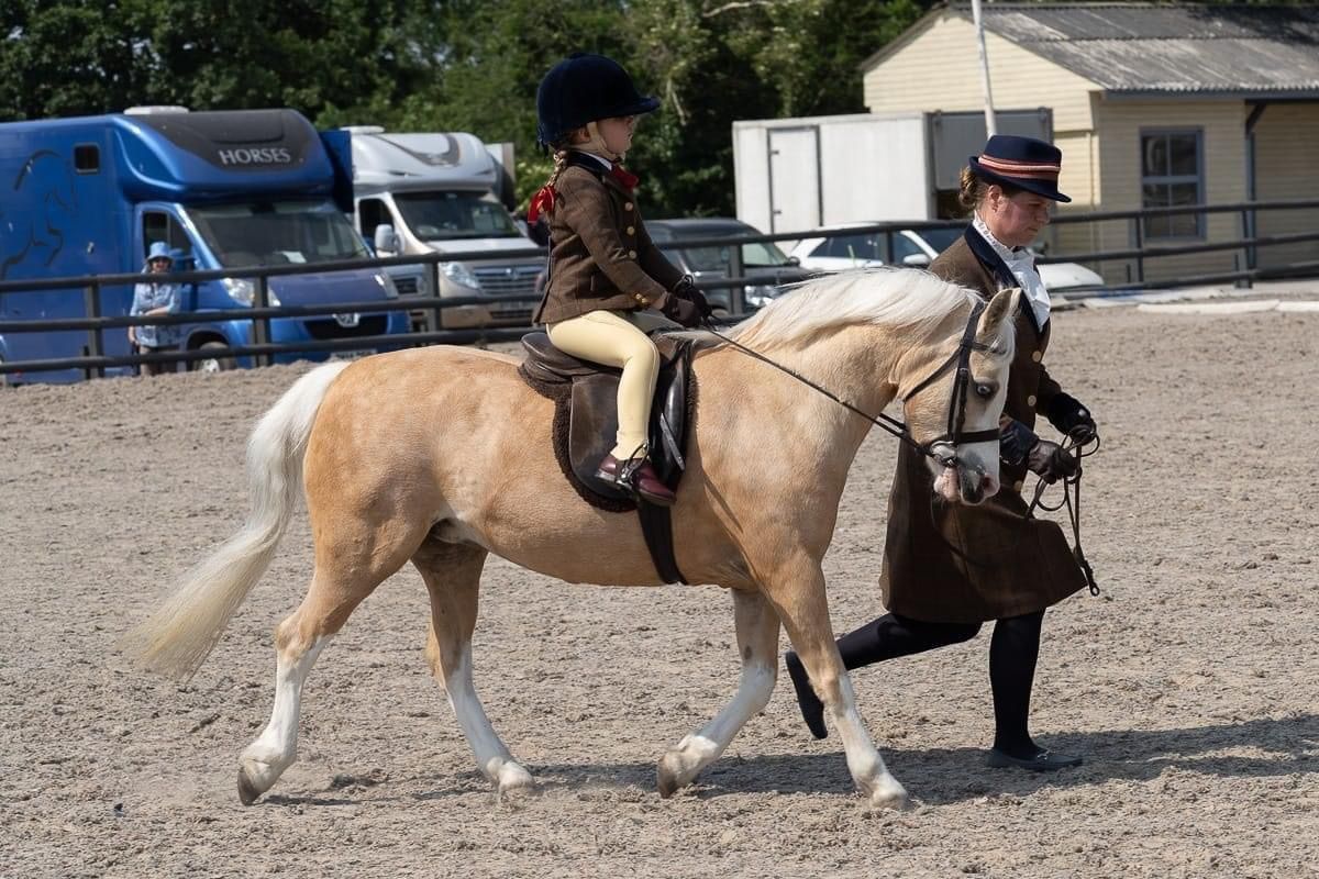 Indoor Ridden And Inhand Show + Outdoor Unaffiliated Showjumping