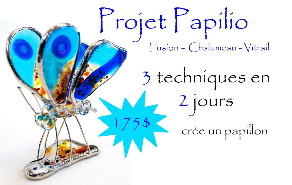 Projet Papilio