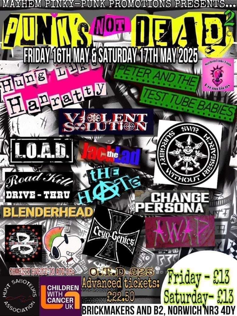 Punks Not Dead! Punk Gig All Dayer 2025