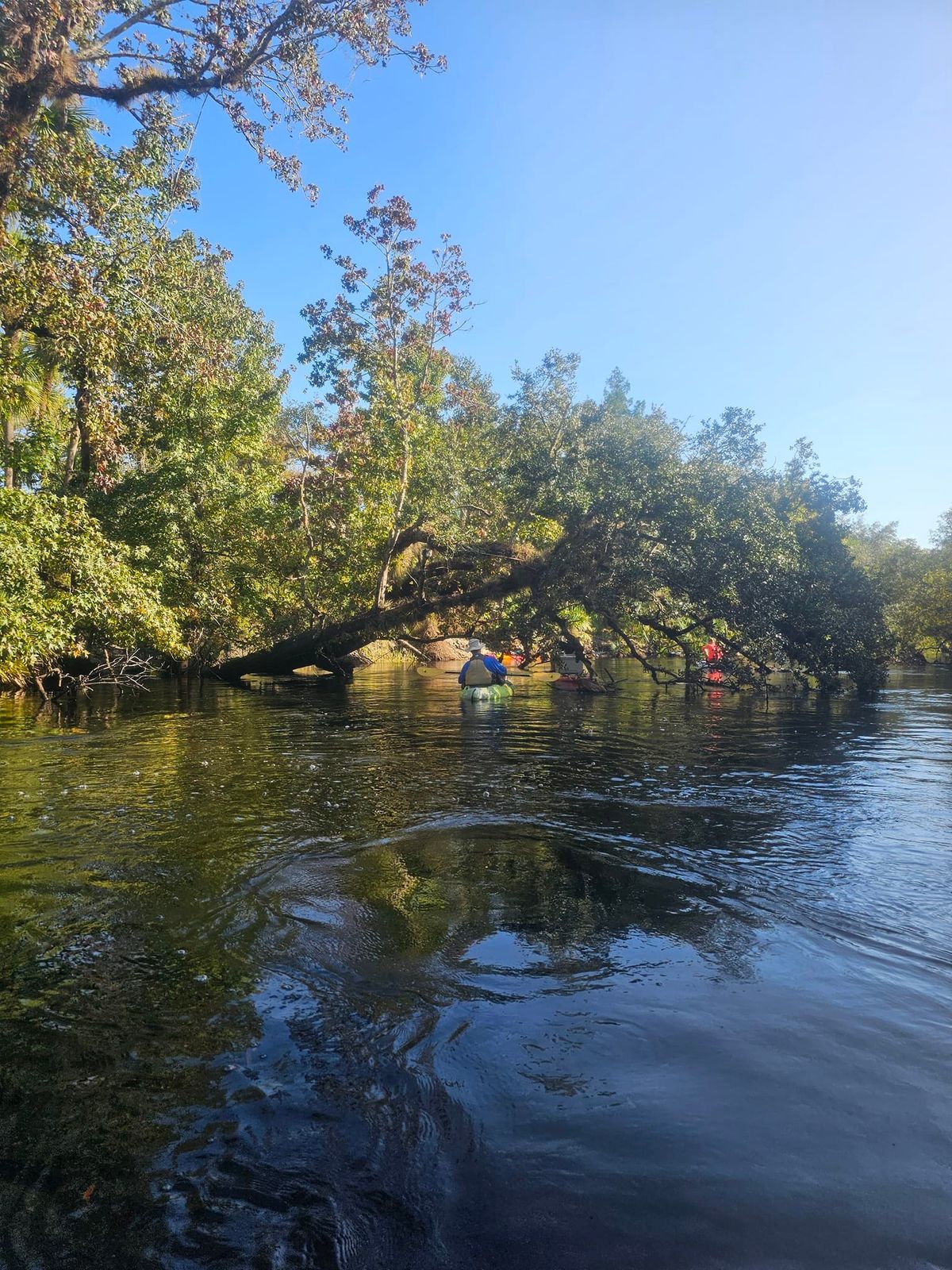 Juniper Springs Weekday Funday