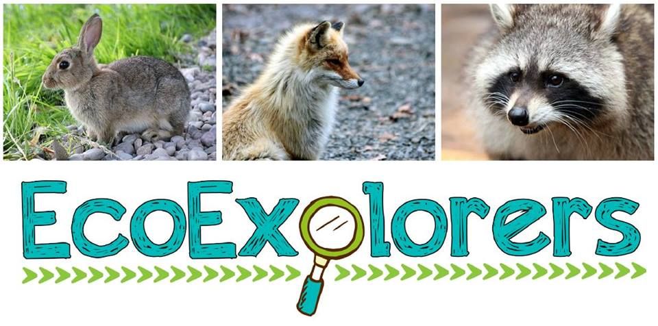 Mammals EcoExplorer