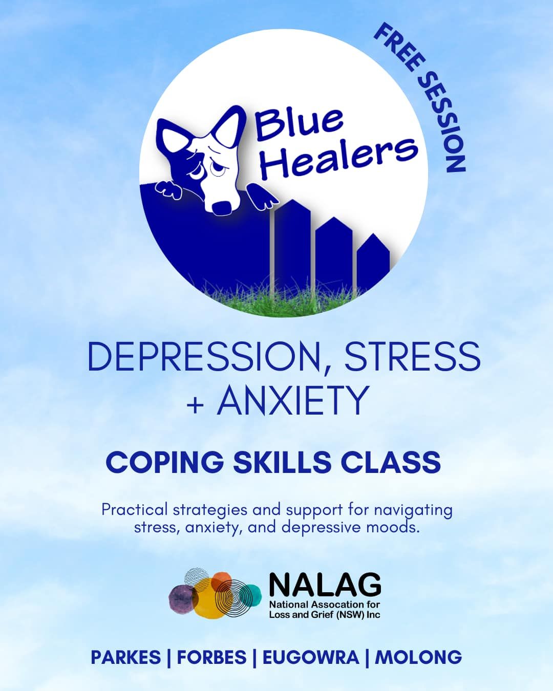 Coping Skills Workshop MOLONG