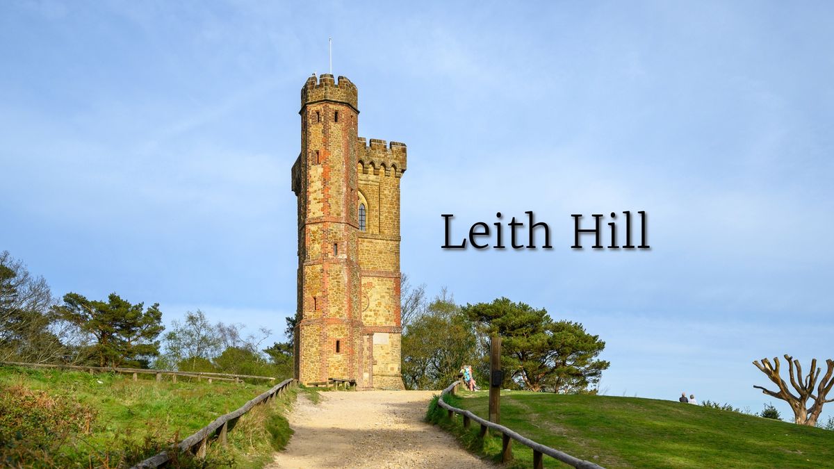 Leith Hill Rhododendron Wood Hiking - Sat 25 Oct 2025