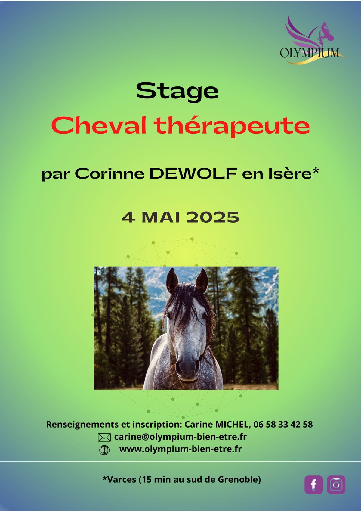 Stage "cheval th\u00e9rapeute"