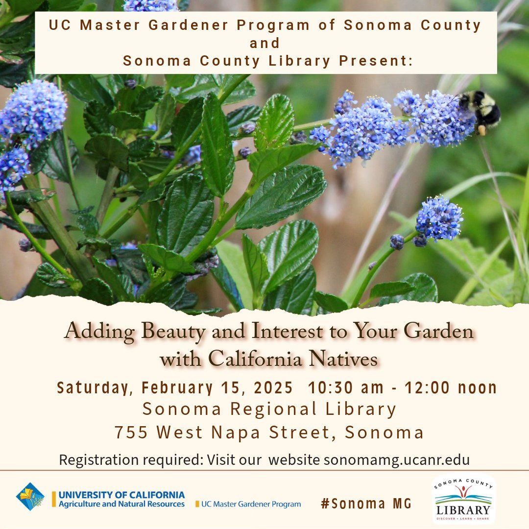 Adding Beauty and Habitat to Your Garden Using California Native Plants 