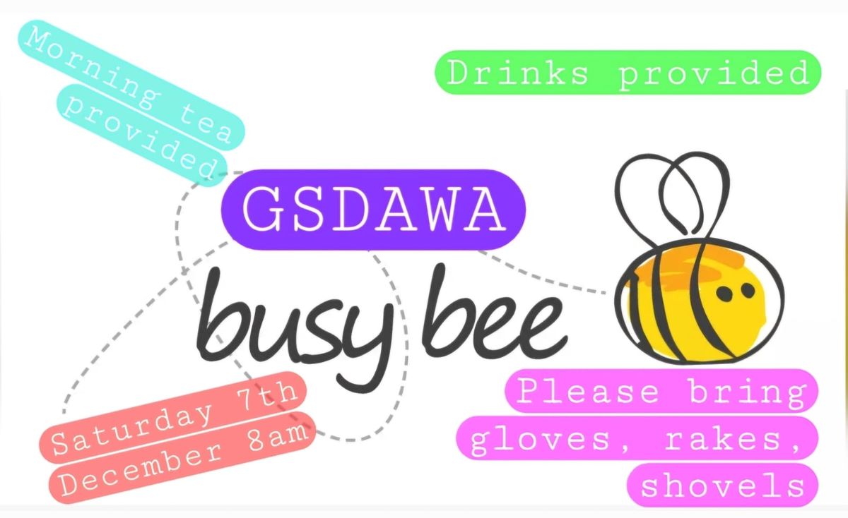 Busy Bee Tidy Up Day