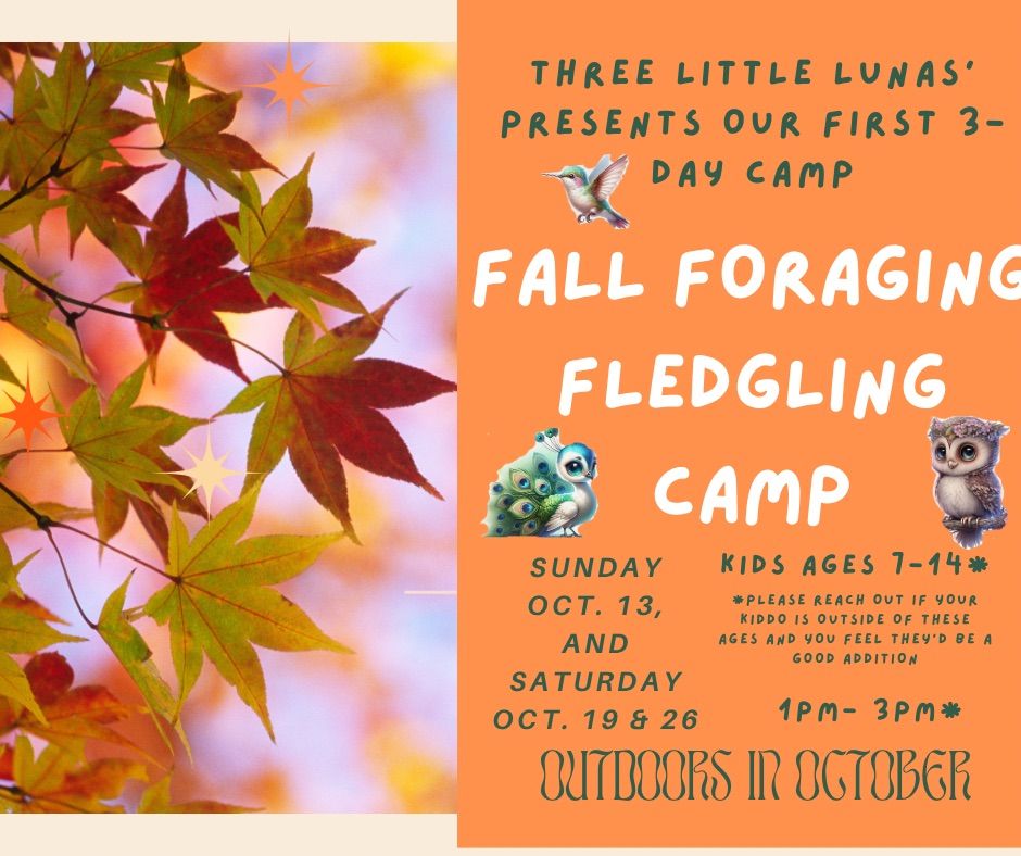 3 Day Fledgling Camp! Outdoors in October 