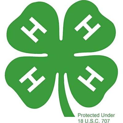 Mesa County 4-H