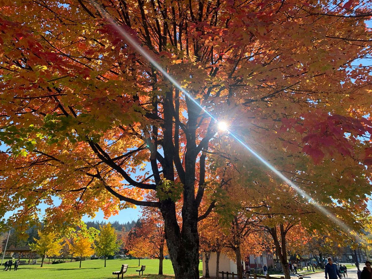 Fall Release Sound Bath