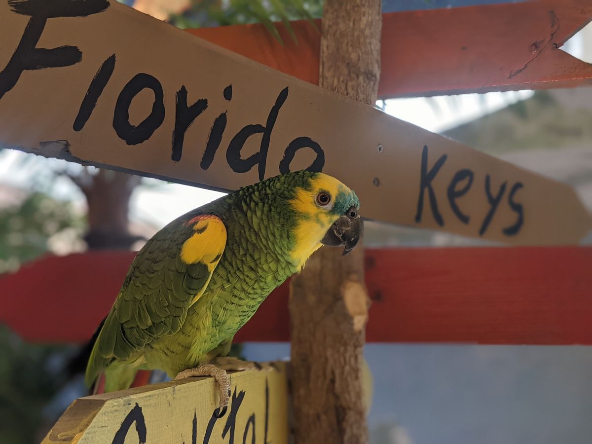 August Florida Keys Trip