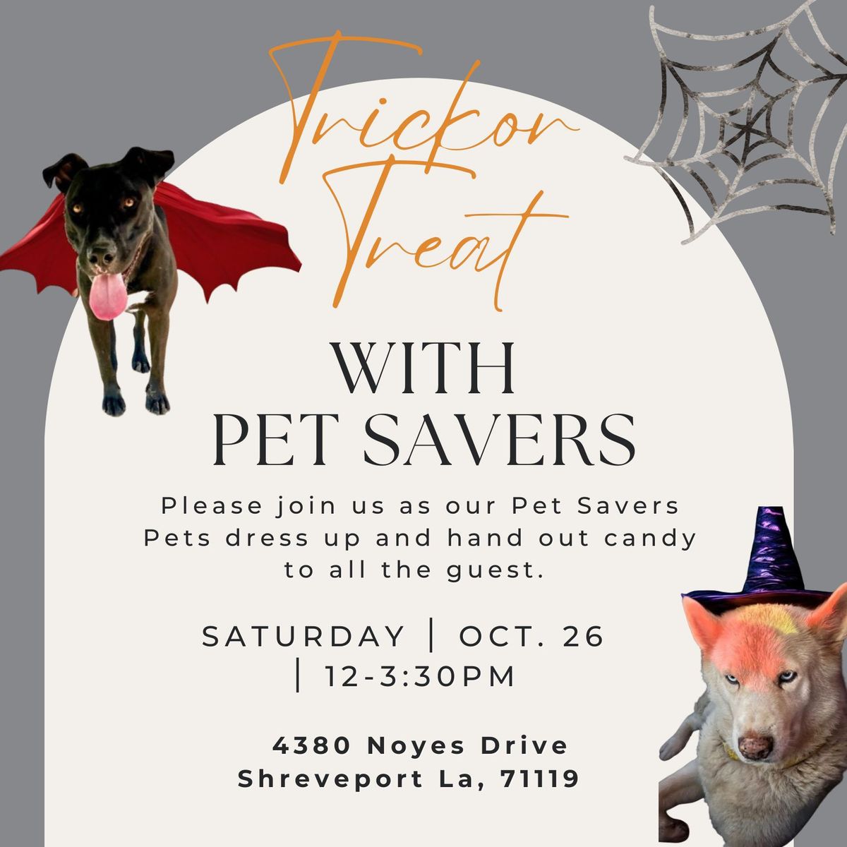 Trick or Treat with Pet Savers