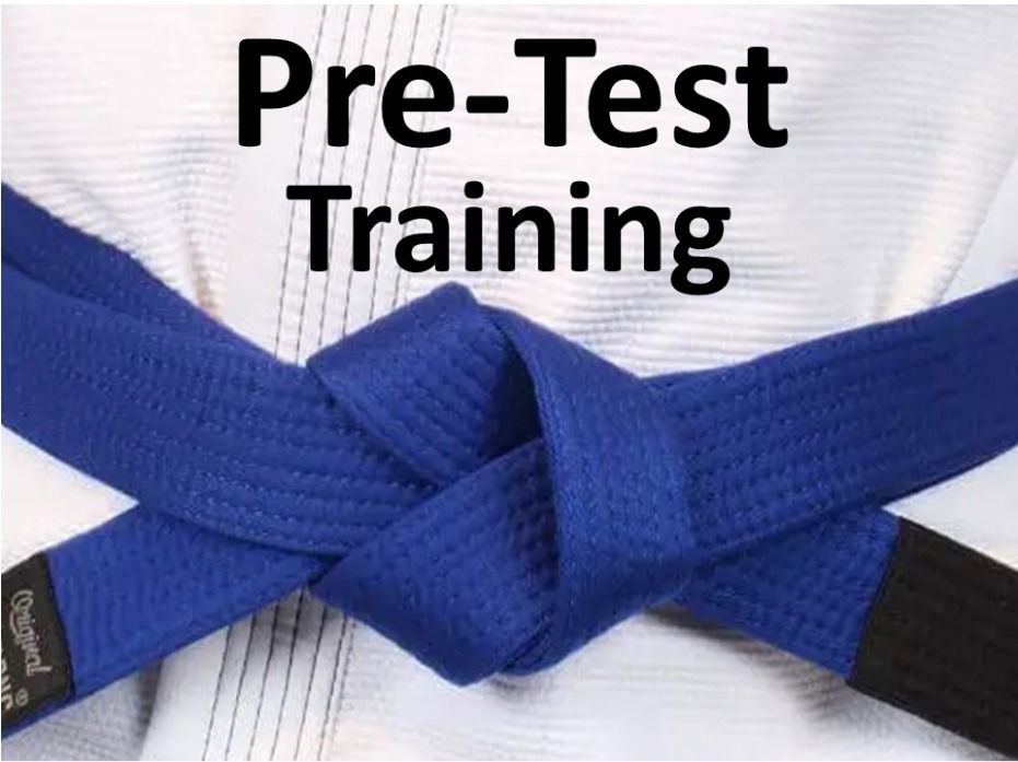 Blue Belt Pre-Test Training